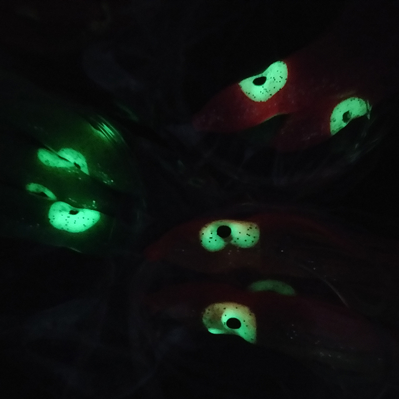 Lunker Sabiki Rig Squid Soft L - đánh giá và giá Furoshiki